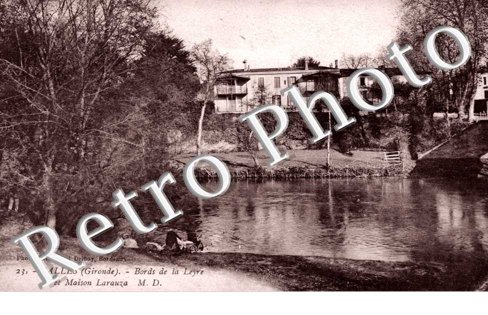 Bords de la Leyre