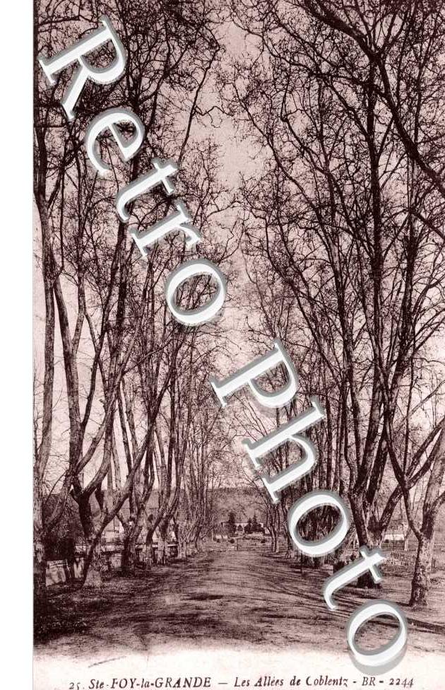 Les Allees de Coblentz