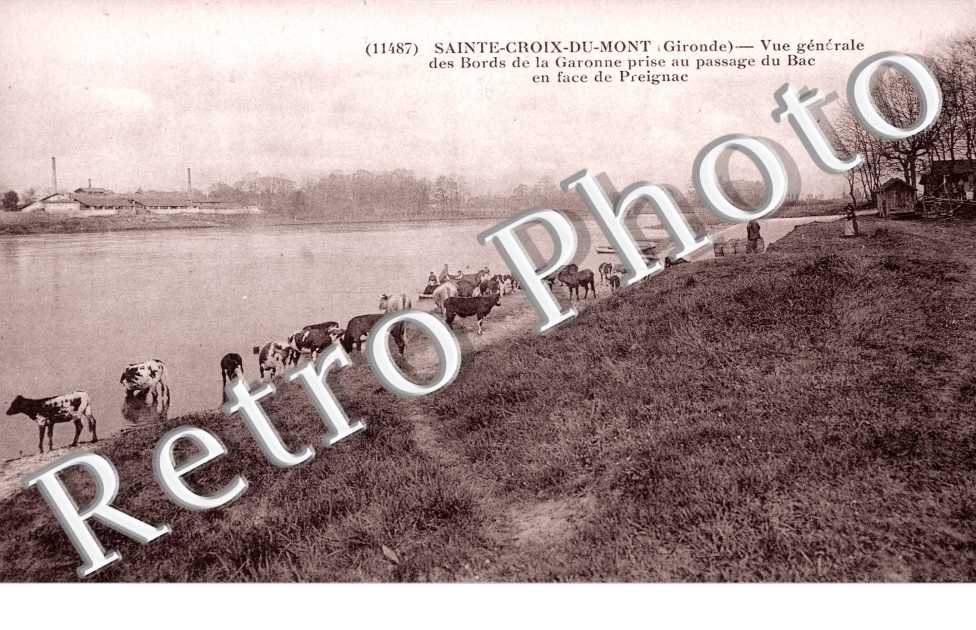 Les Bords de la Garonne - Vue générale prise au passage du Bac en face de Preignac