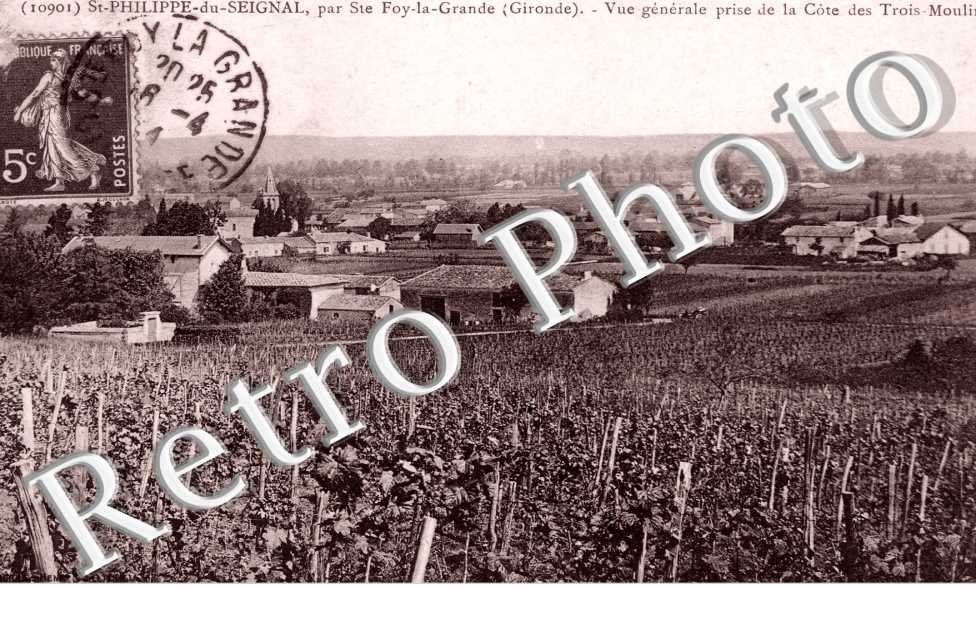 Vue generale