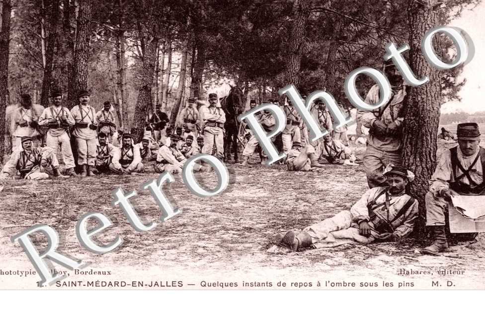 Quelques instants de repos a l'ombre sous les pins