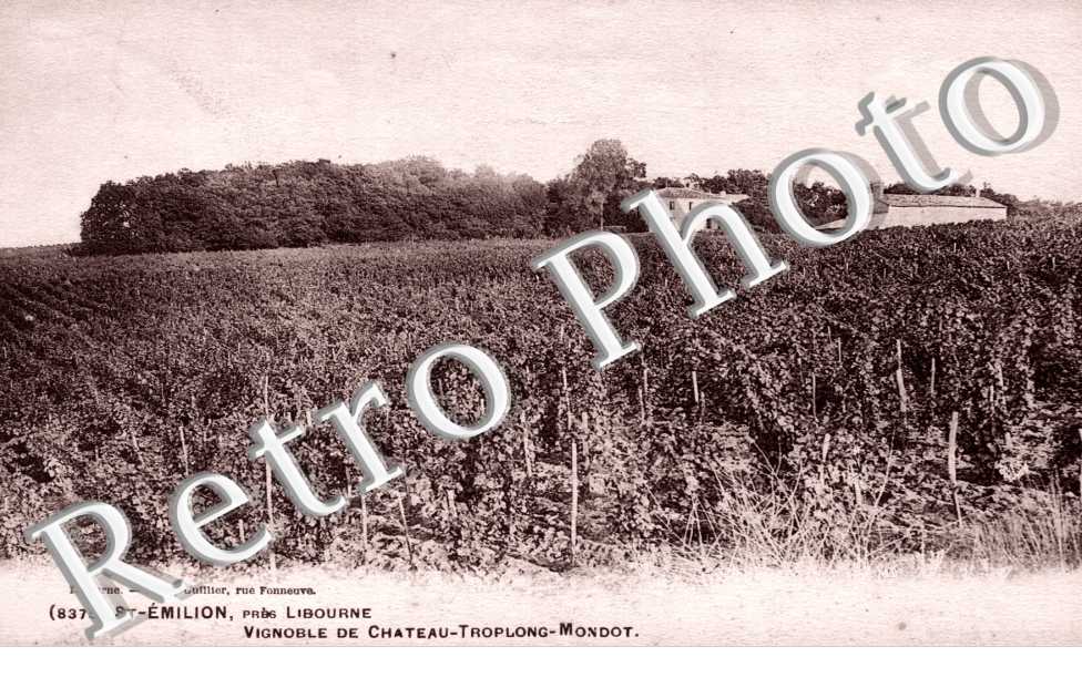 Vignoble de Chateau Troplong Mondot