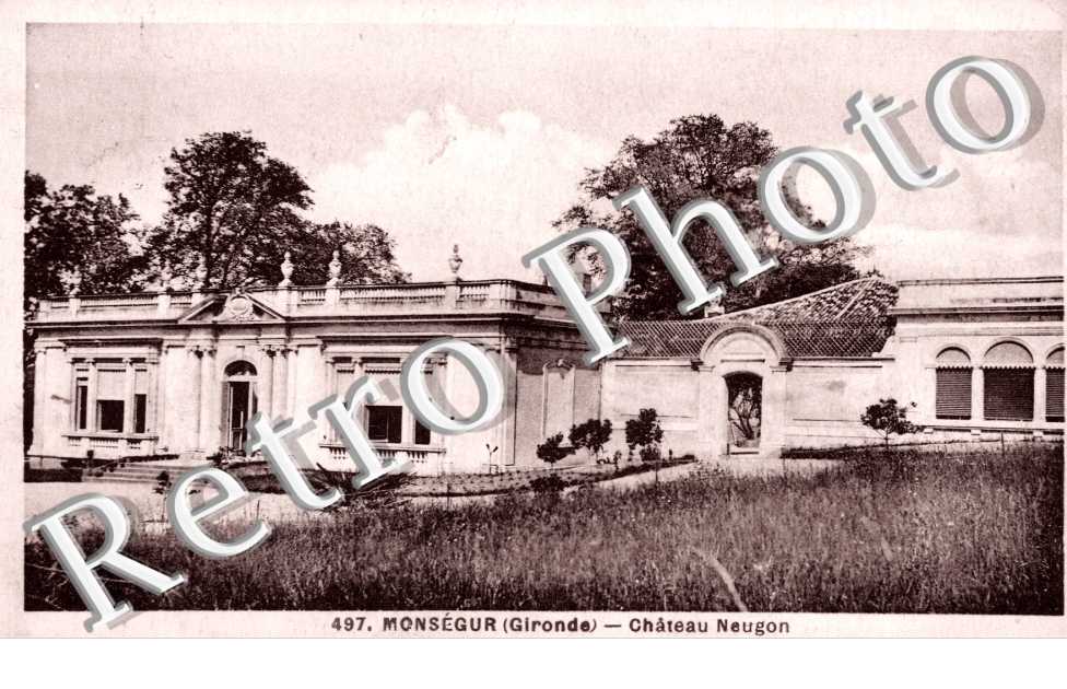 Chateau Neugon
