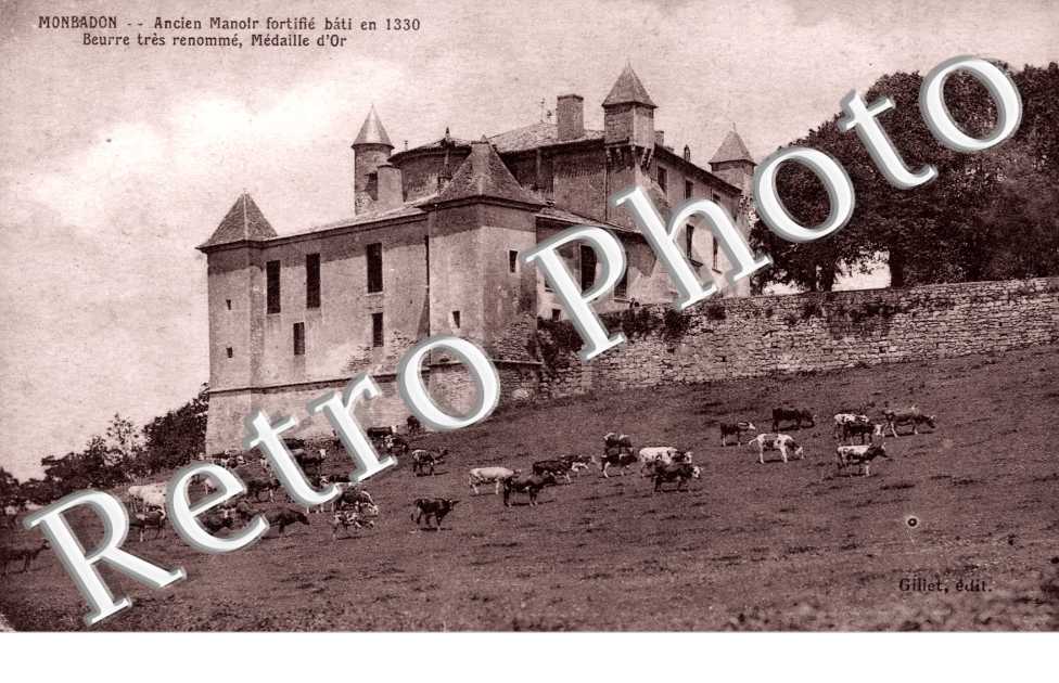 Chateau  - ancien manoir fortifie