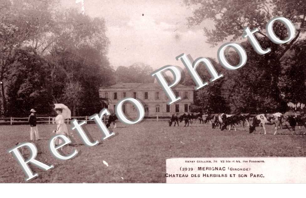 chateau des Herbiers et du parc