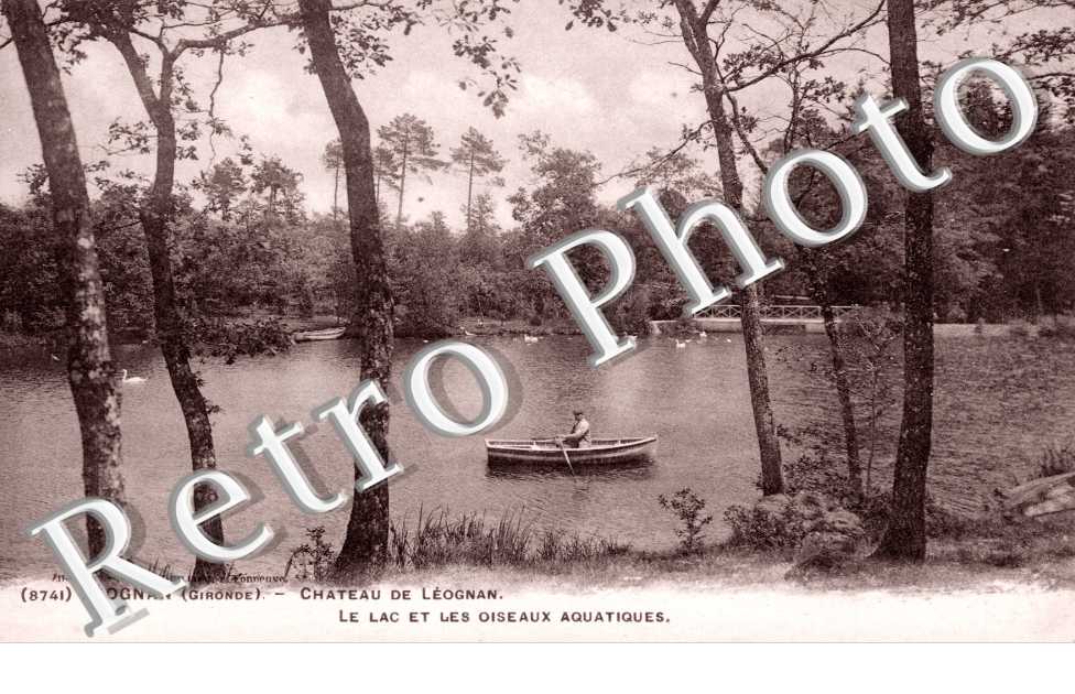 chateau  - le lac et les oiseaux