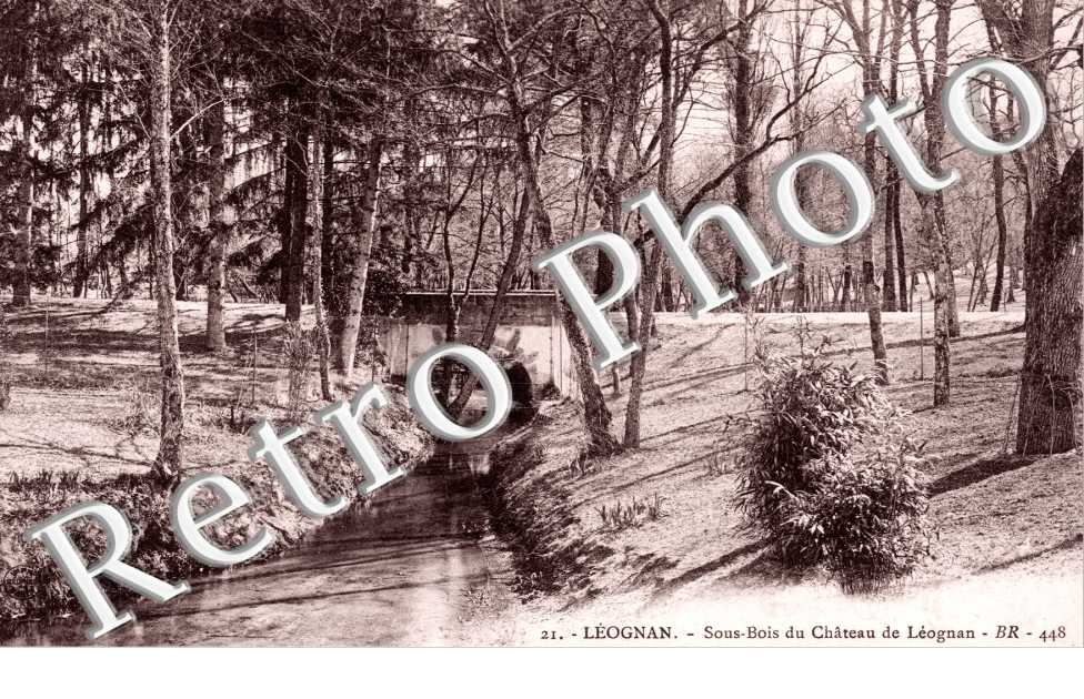 Sous-Bois du chateau