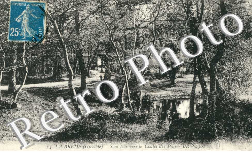 Sous Bois vers le Chalet des Pins