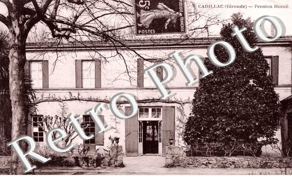 pension Hodie