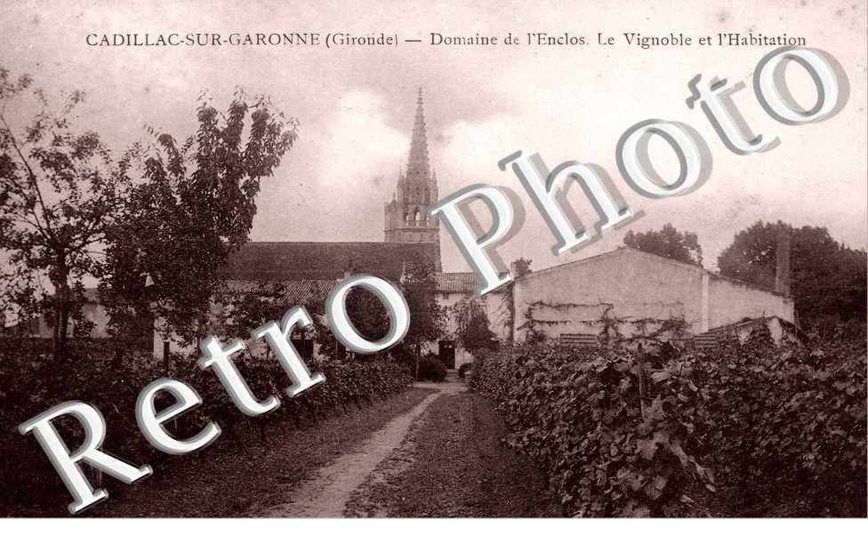 Domaine de l&#039;Enclos, le Vignoble et l&#039;habitation