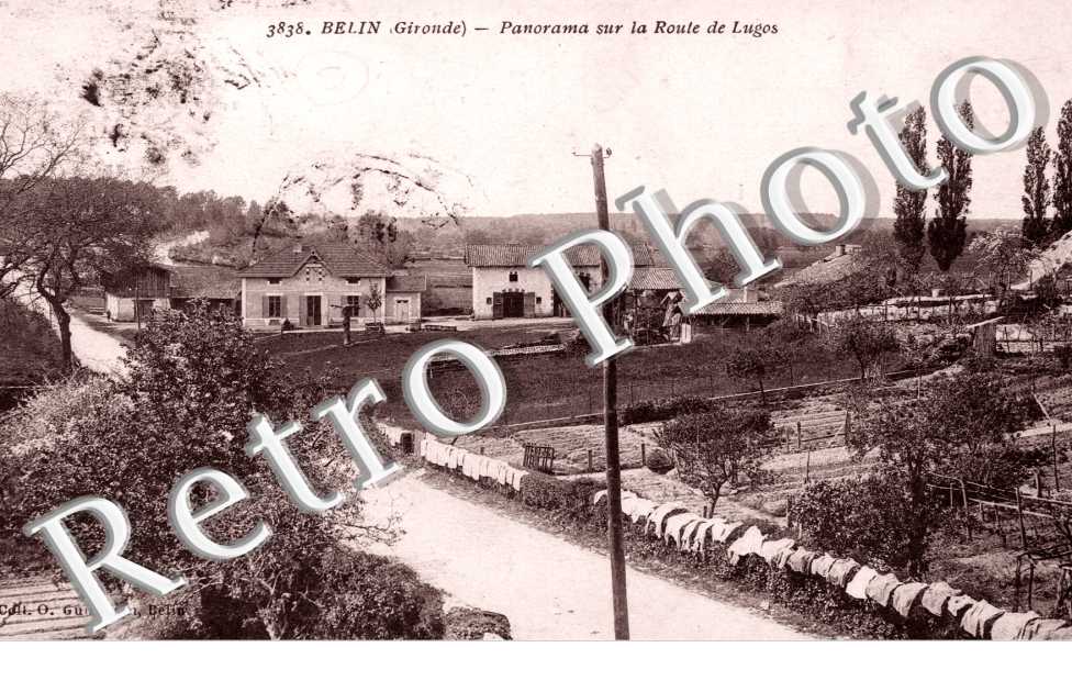 Panorama sur la route de Lugos