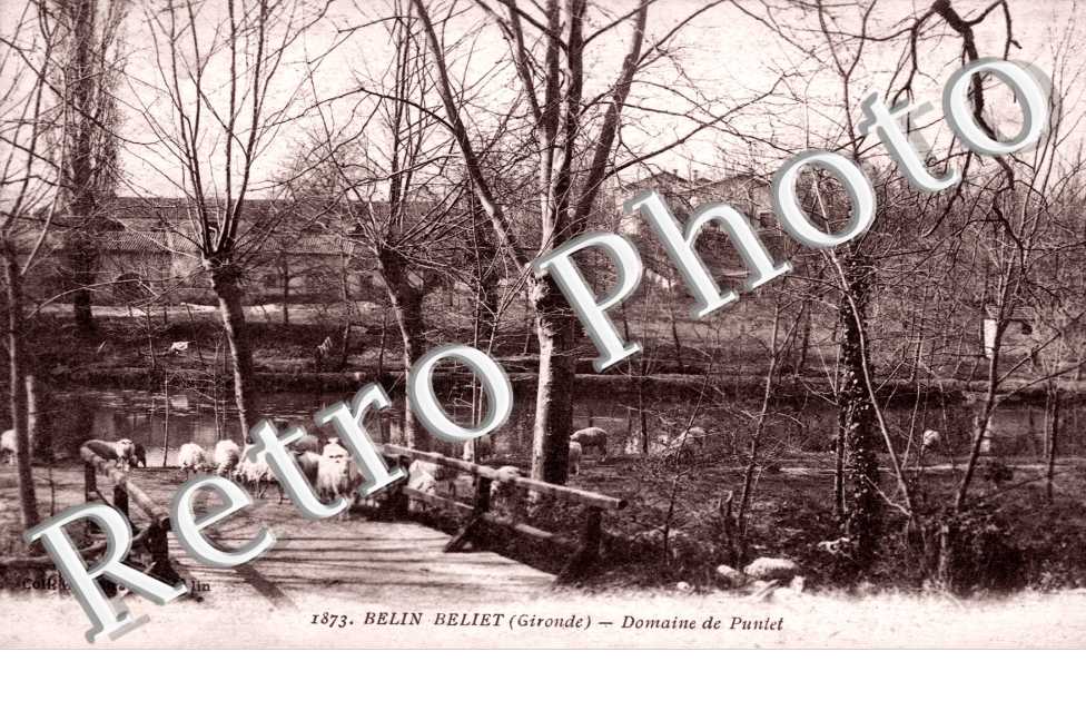 Domaine de Puntet