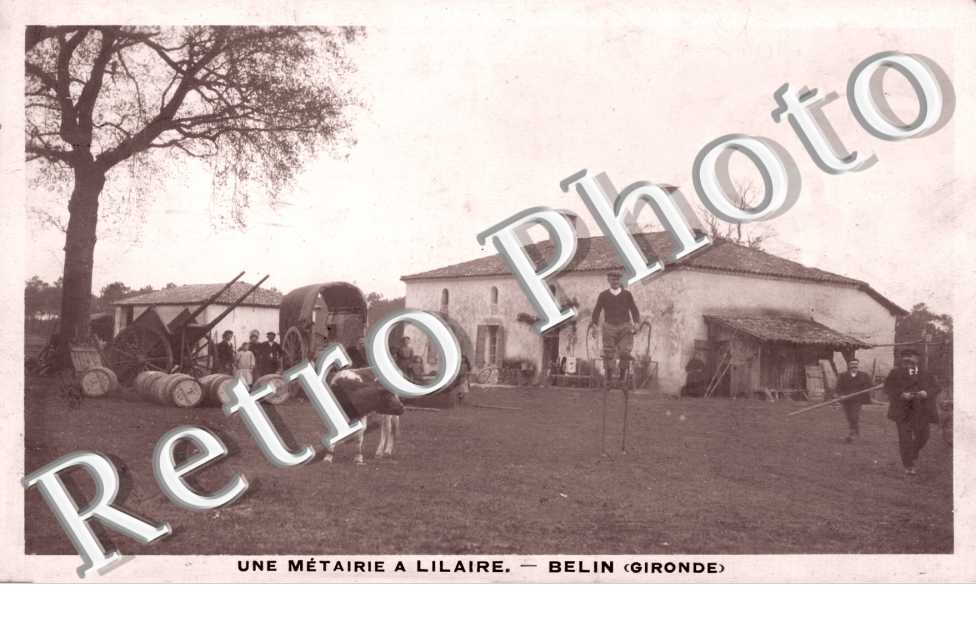 Une Metairie a Lilaire