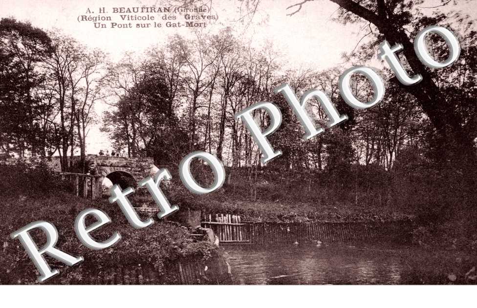 Un pont sur le Gat-Mori