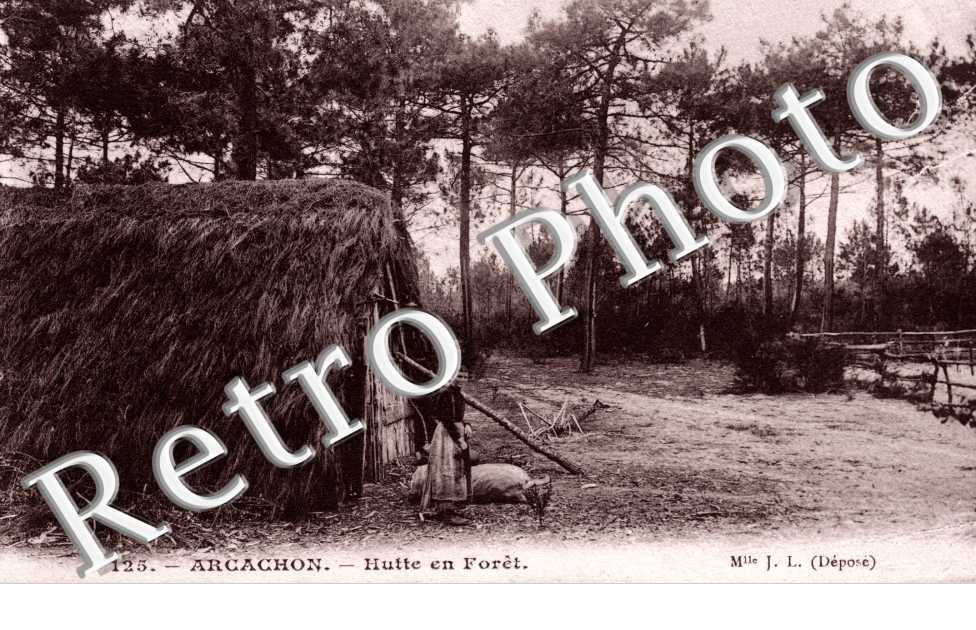 Hutte en foret