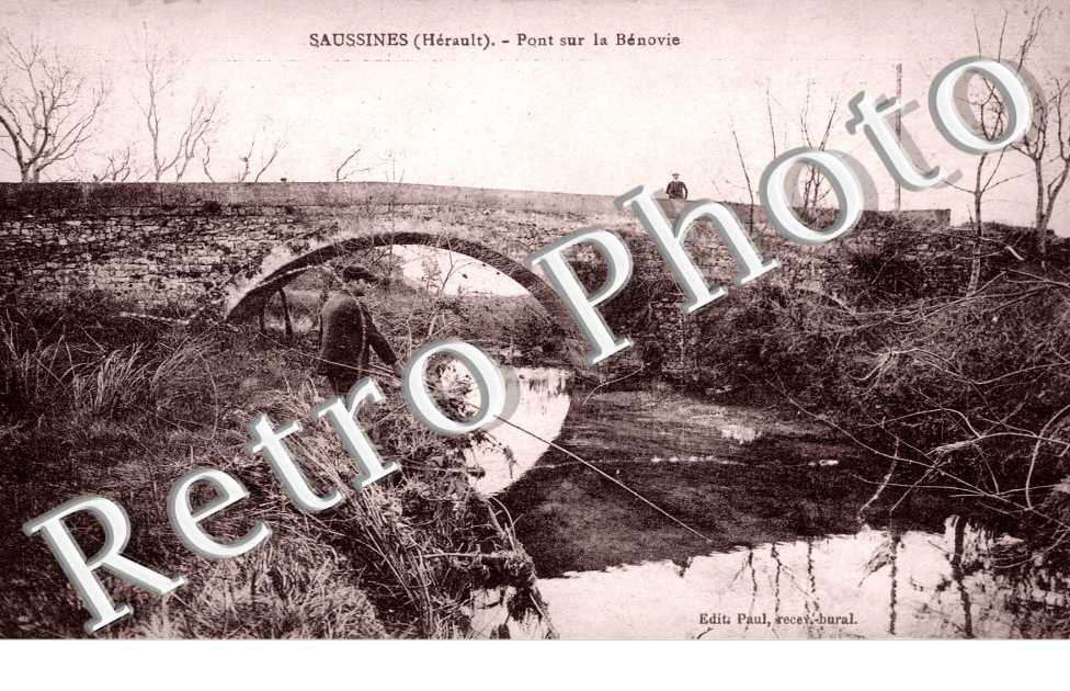 Pont sur la Benovie