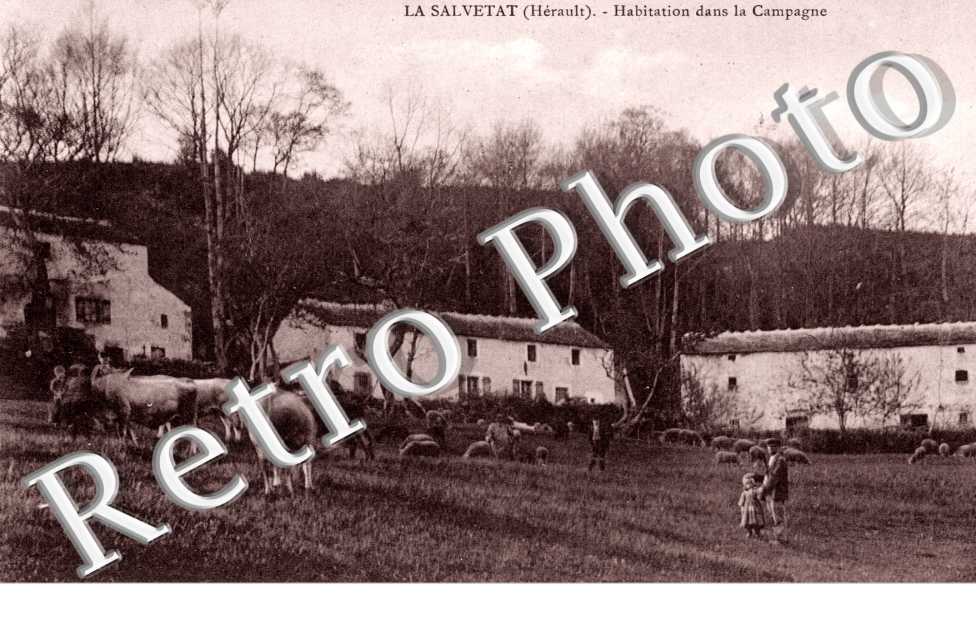 Habitation dans la campagne