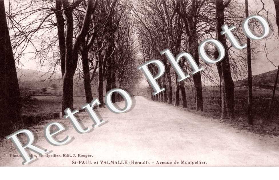 Avenue de Montpellier