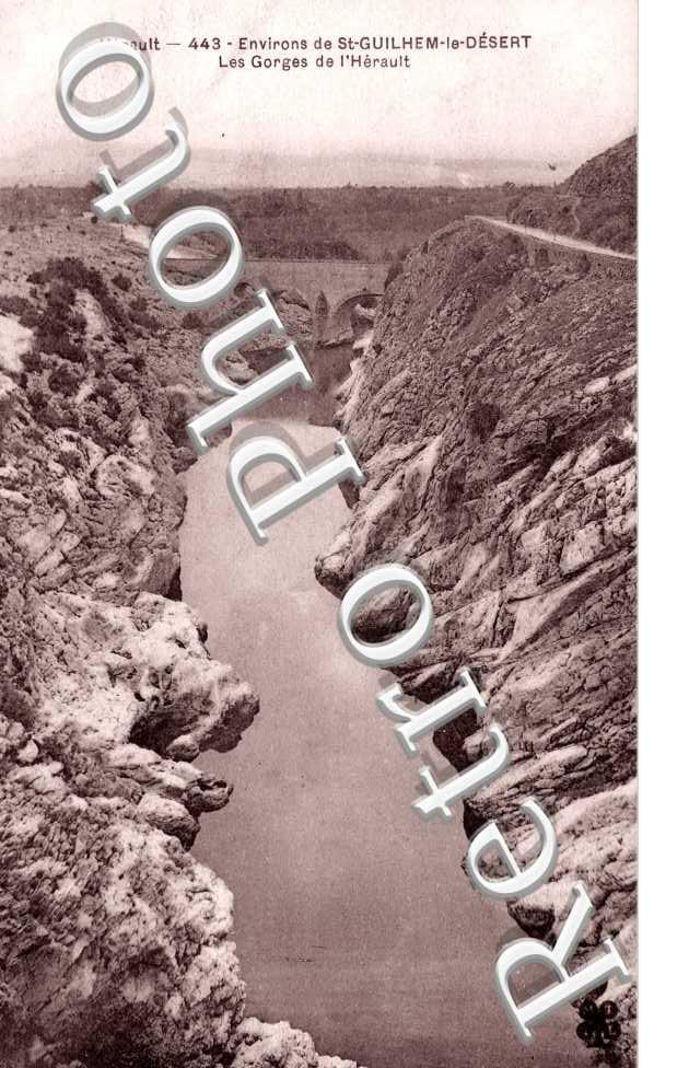 les gorges de l'Herault