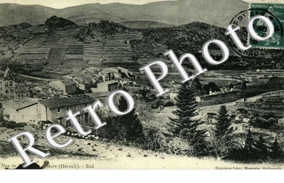 (vue d&#039;ensemble)