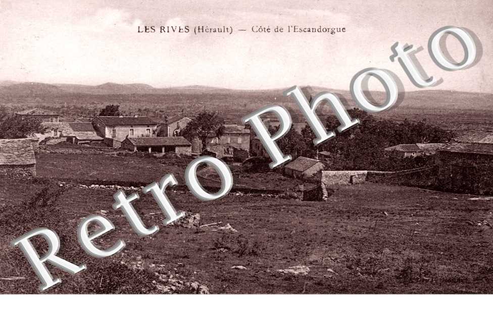 Cote de l&#039;Escandorgue