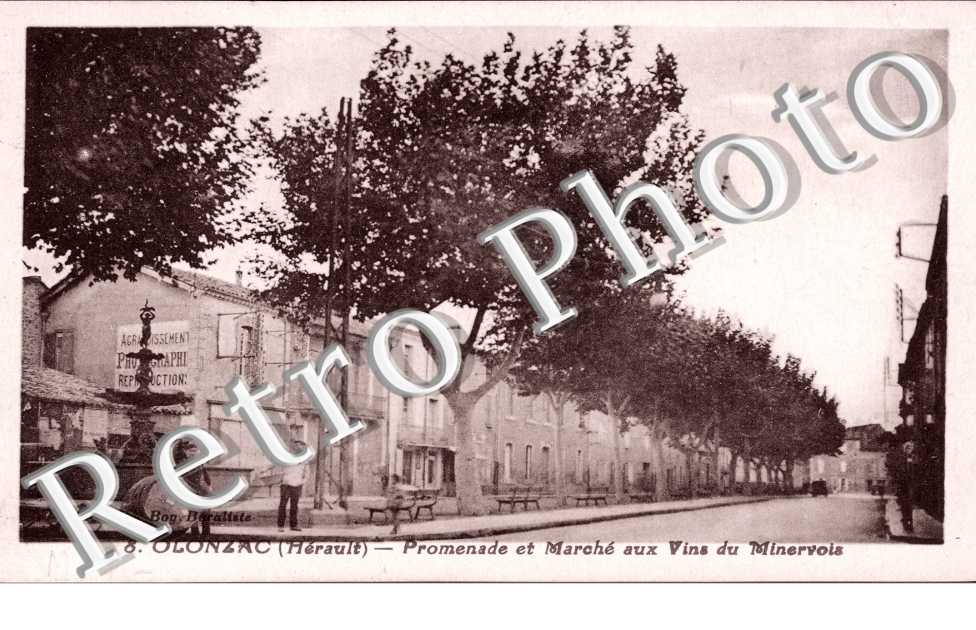 Promenade et marche aux vins du minervois