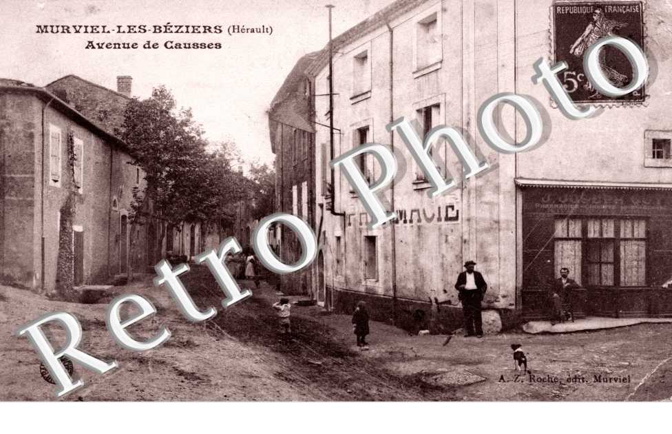 Avenue de Causses