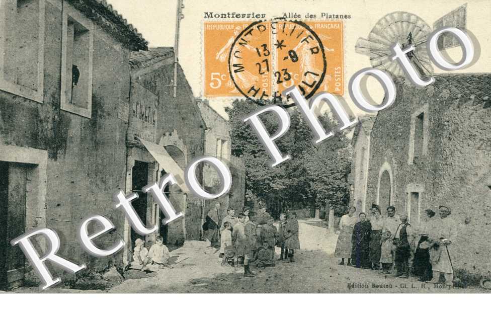 Allee des platanes