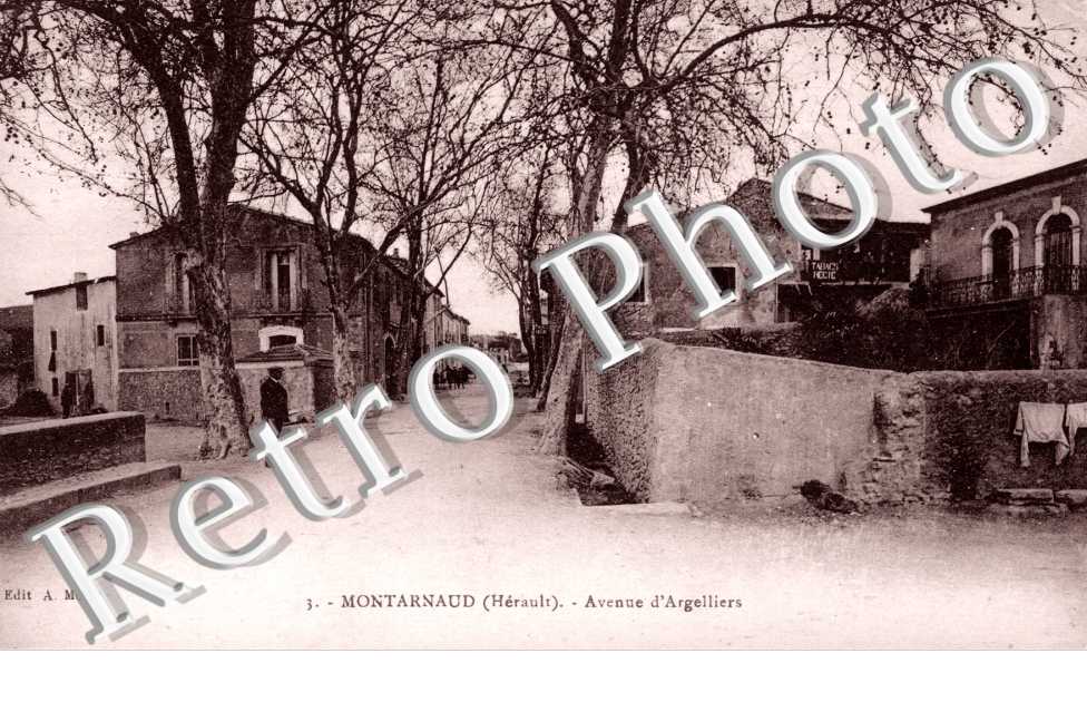Avenue d&#039;Argelliers