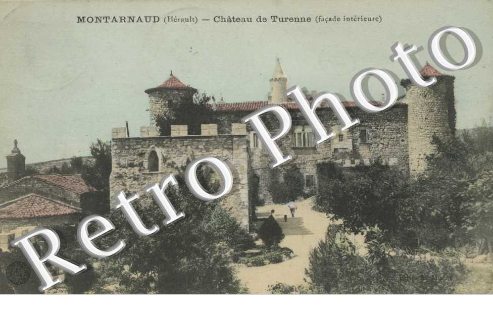 Chateau de Turenne