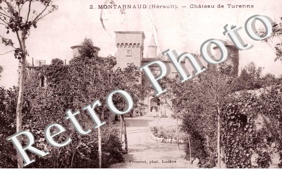 Chateau de Turenne