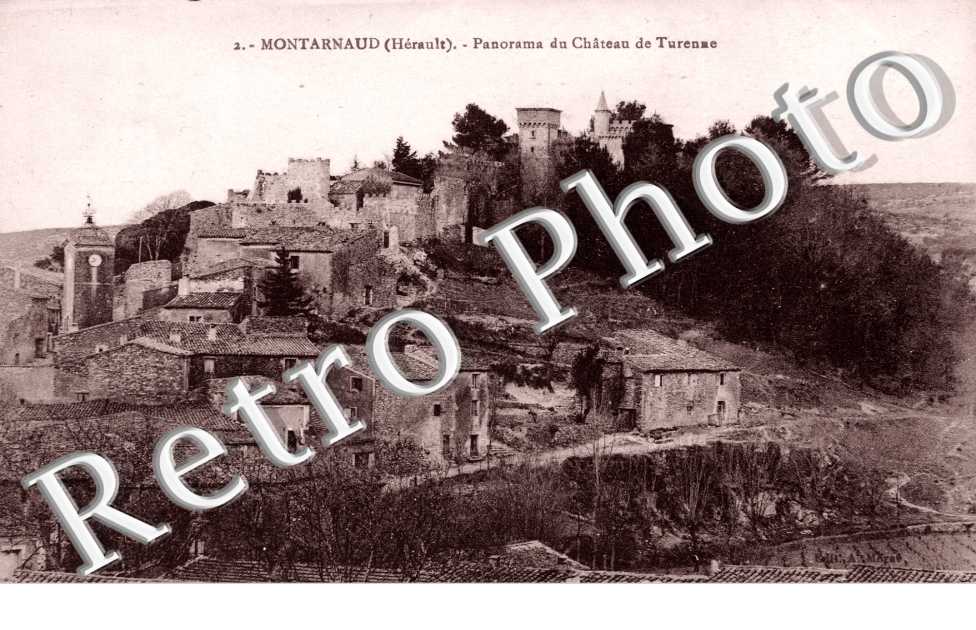 Panorama du chateau de Turenne