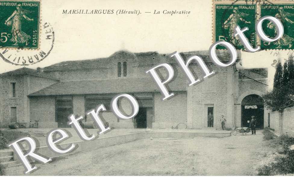La cooperative