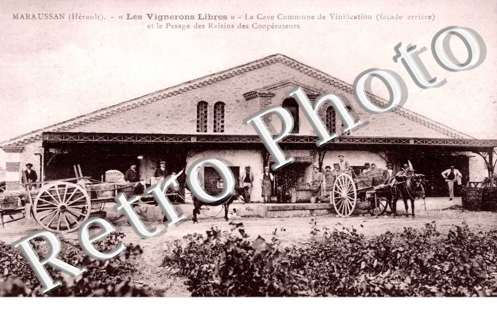 cave commune de Vinification et pesage des raisins  - "les vignerons libres"