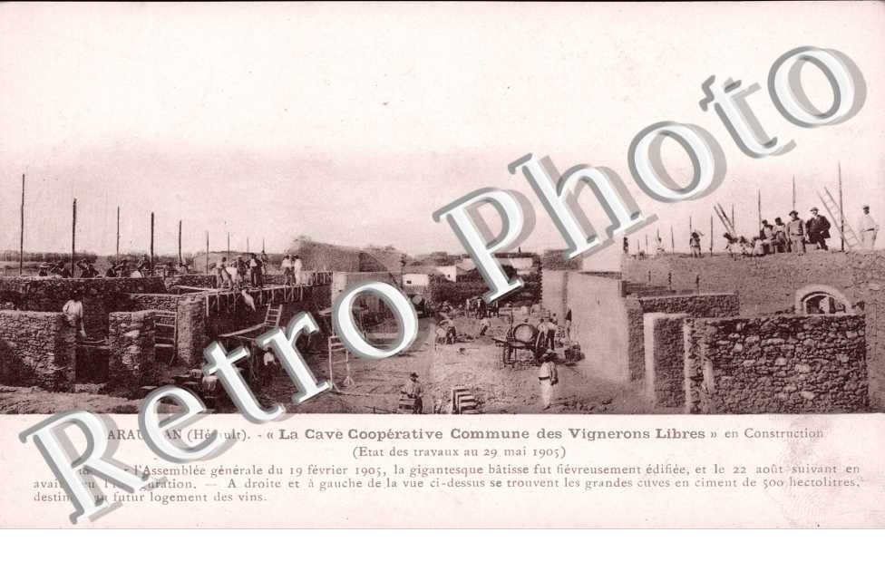 cave cooperative "les vignerons libres"