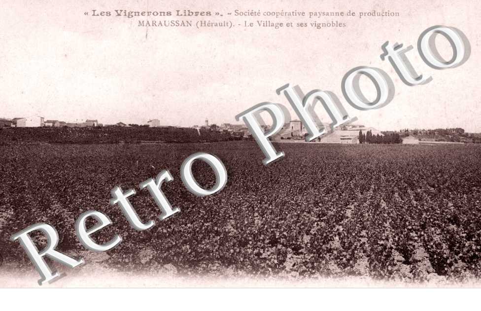 Le village et ses vignobles - societe cooperative paysanne de production