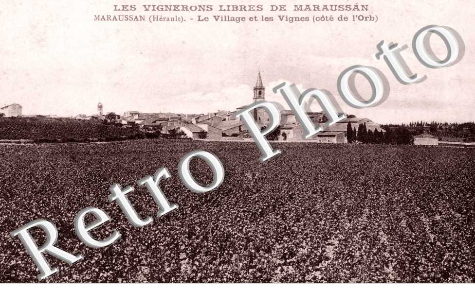 Le vilage et les vignes