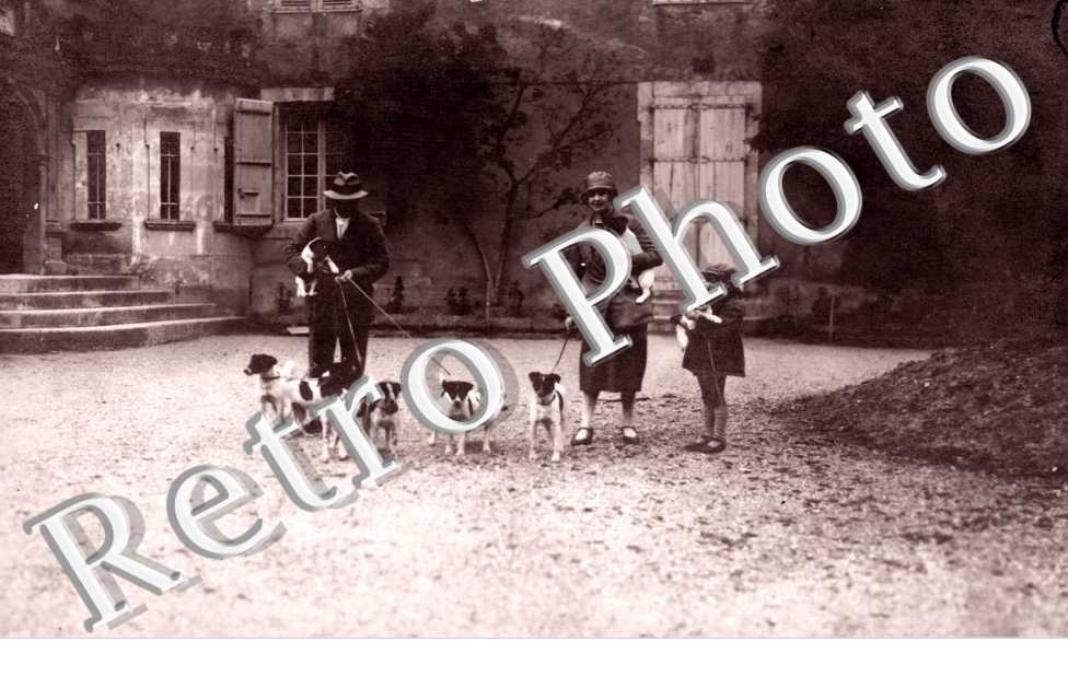 Un couple, un enfant et leurs chiens