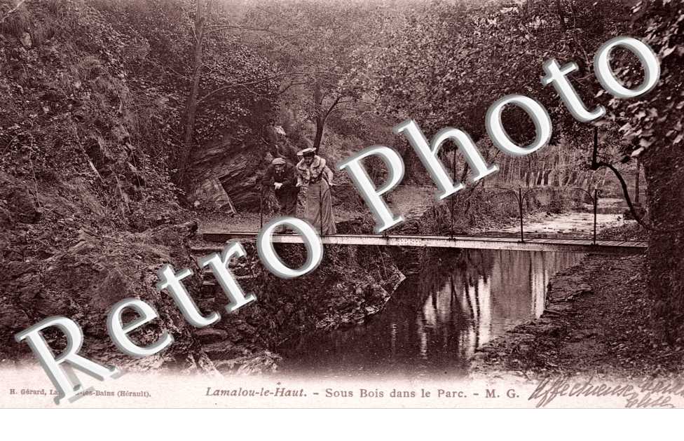 sous bois dans le Parc