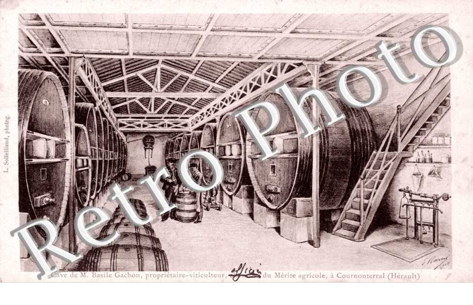 Cave de m. basile Gachon proprietaire - viticulteur