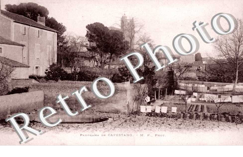 Panorama