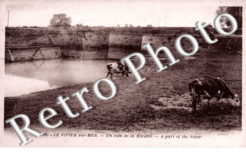 un coin de la riviere