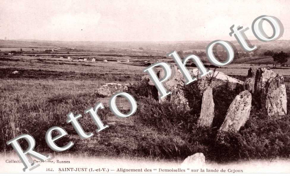 Alignement des "Demoiselles" sur la Lande de Cojoux