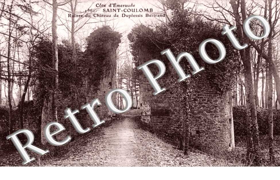 Ruines du chateau de Duplessis Bertrand
