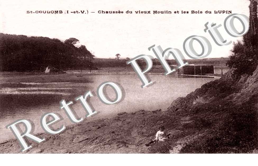 Chaussee du vieux Moulin et les Bois du Lupin