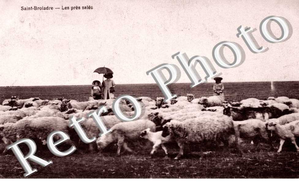 les pres sales