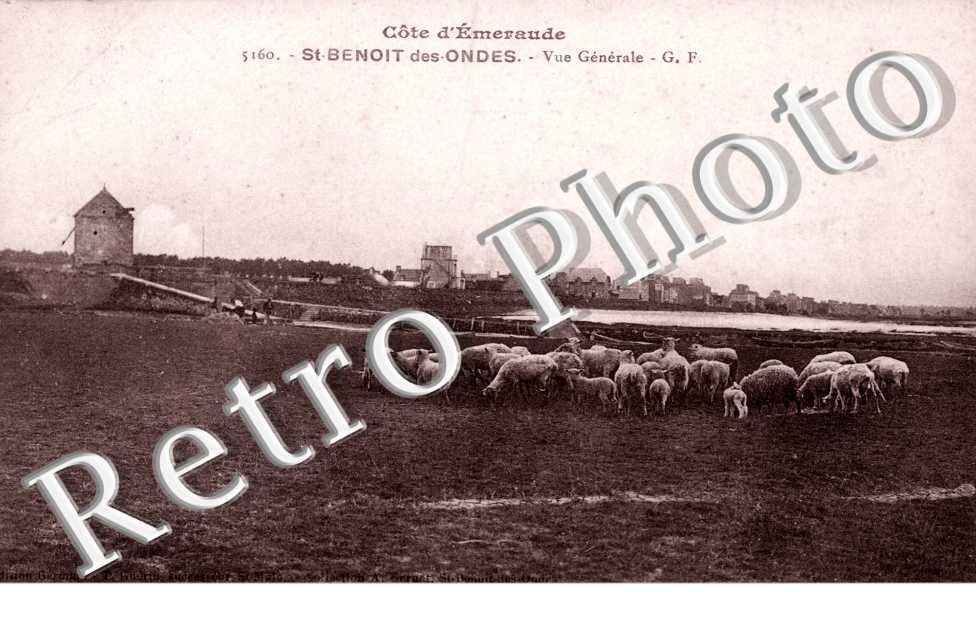 Vue Generale