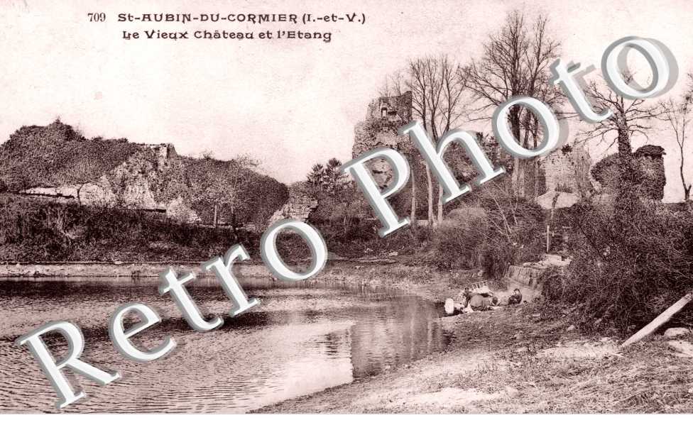 le Vieux Chateau et l'Etang