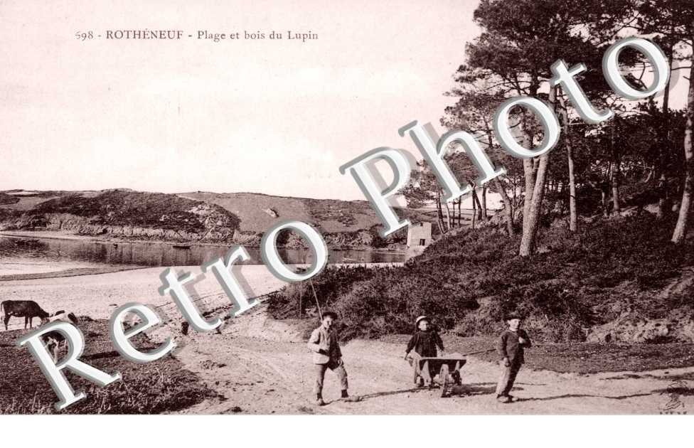 plage et bois du Lupin