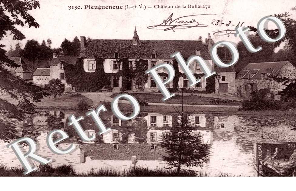 Chateau de la Buharaye